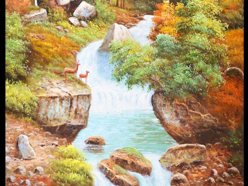 寻找沙漠珍宝